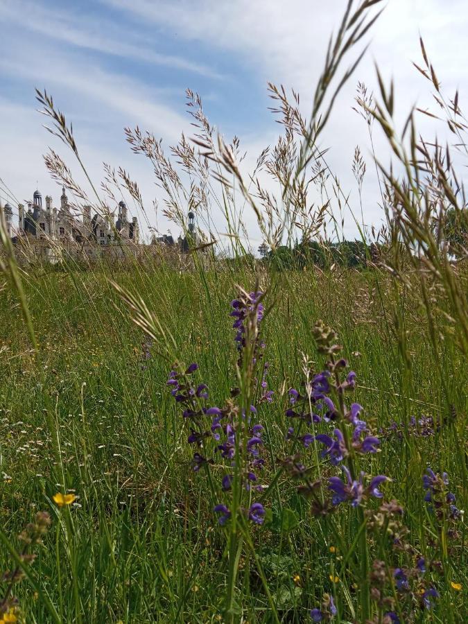 La Robiniere Maison D'Hotes Mont-près-Chambord Εξωτερικό φωτογραφία