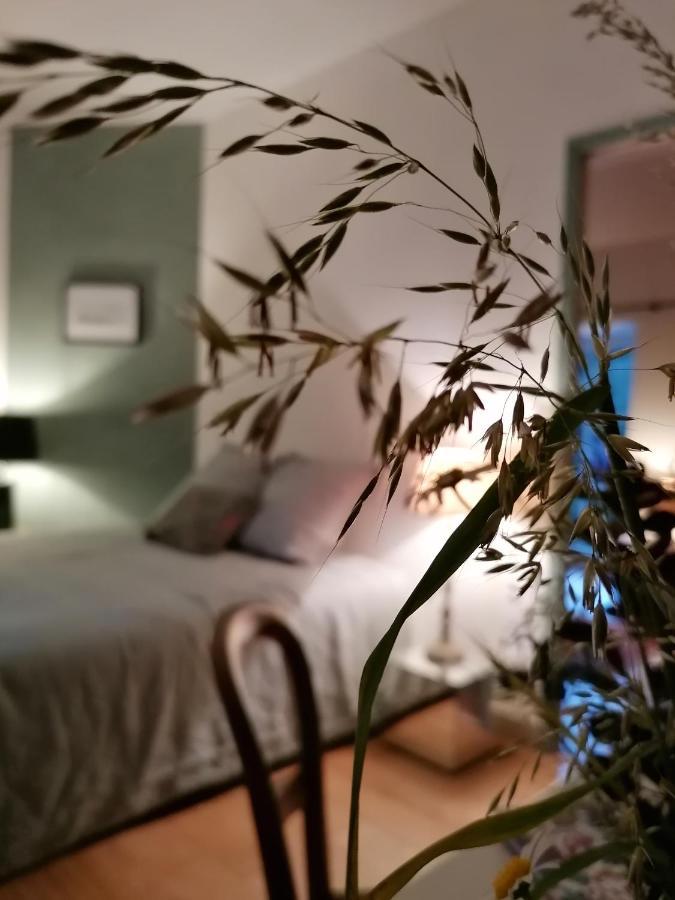La Robiniere Maison D'Hotes Mont-près-Chambord Εξωτερικό φωτογραφία
